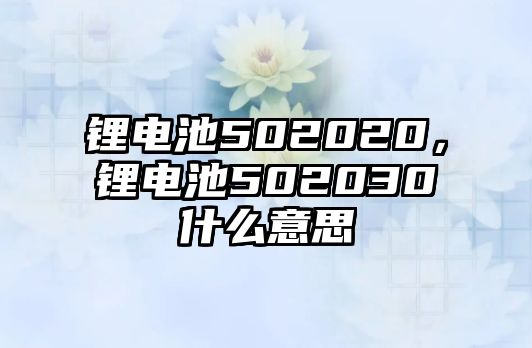 鋰電池502020，鋰電池502030什么意思