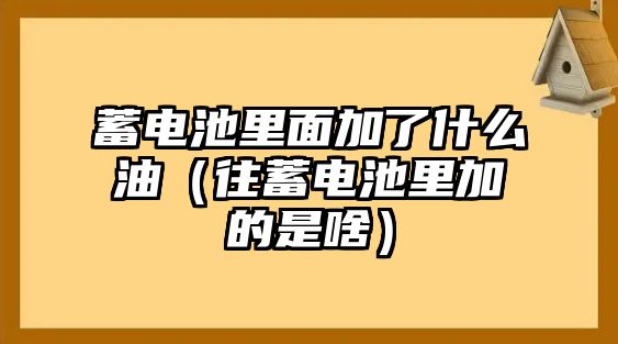 蓄電池里面加了什么油（往蓄電池里加的是啥）