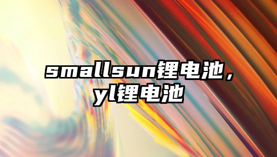 smallsun鋰電池，yl鋰電池