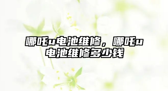 哪吒u電池維修，哪吒u電池維修多少錢