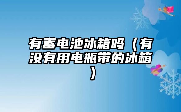 有蓄電池冰箱嗎（有沒有用電瓶帶的冰箱）