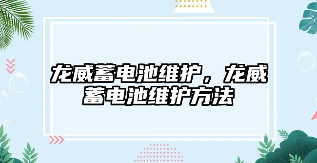 龍威蓄電池維護，龍威蓄電池維護方法