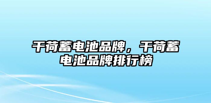 干荷蓄電池品牌，干荷蓄電池品牌排行榜