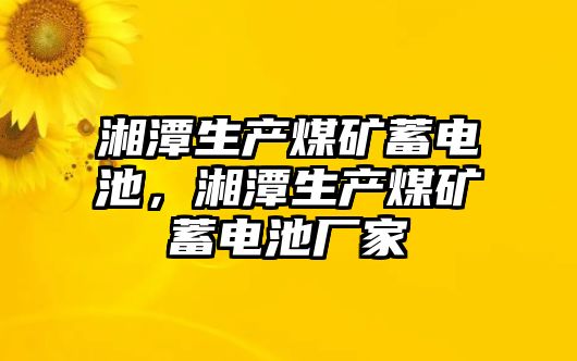 湘潭生產(chǎn)煤礦蓄電池，湘潭生產(chǎn)煤礦蓄電池廠家