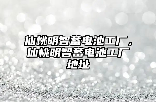 仙桃明智蓄電池工廠，仙桃明智蓄電池工廠地址