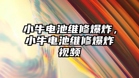 小牛電池維修爆炸，小牛電池維修爆炸視頻