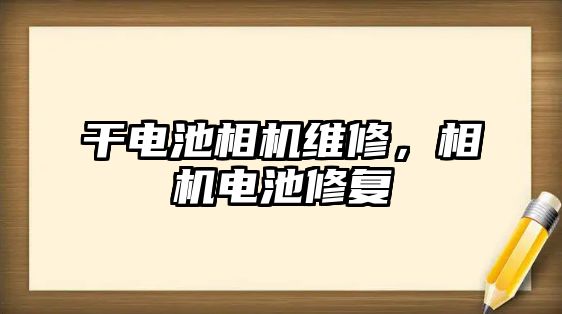 干電池相機維修，相機電池修復