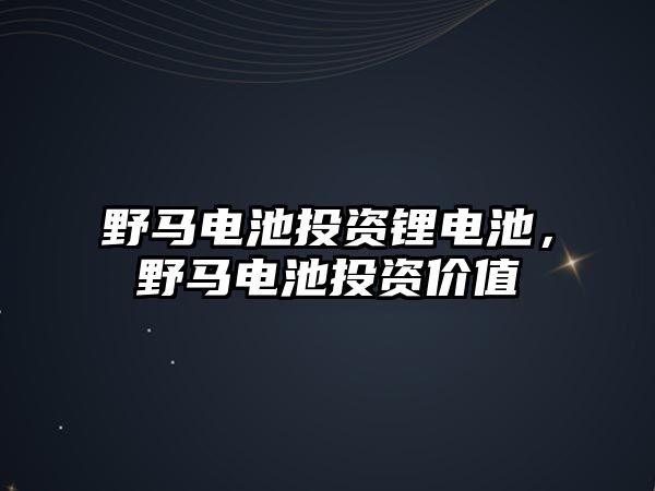 野馬電池投資鋰電池，野馬電池投資價值