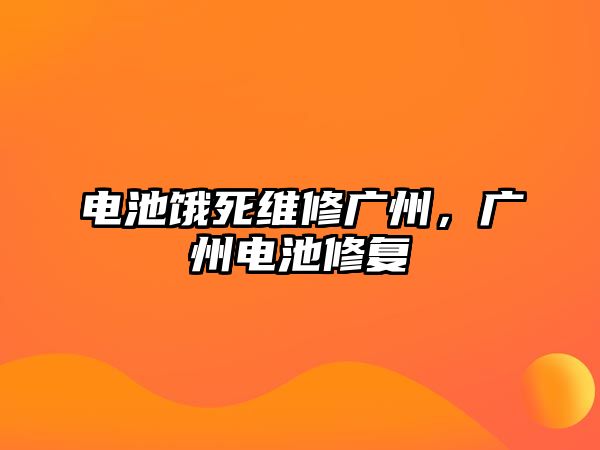 電池餓死維修廣州，廣州電池修復(fù)