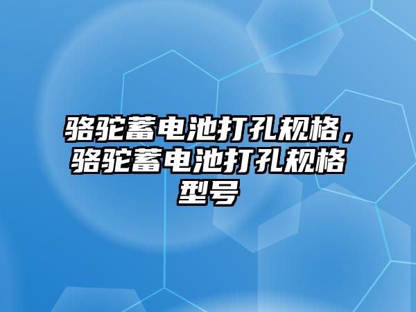 駱駝蓄電池打孔規格，駱駝蓄電池打孔規格型號