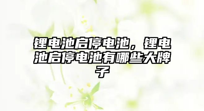 鋰電池啟停電池，鋰電池啟停電池有哪些大牌子